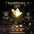 Mariposa LED Decorativa