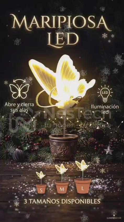 Mariposa LED Decorativa